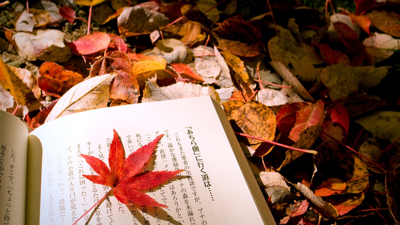 autumn-leaves-japanese-book_1366x768.jpg