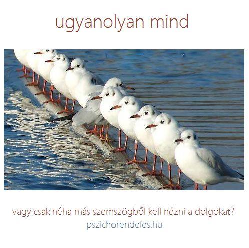 ugyanolyan.jpg