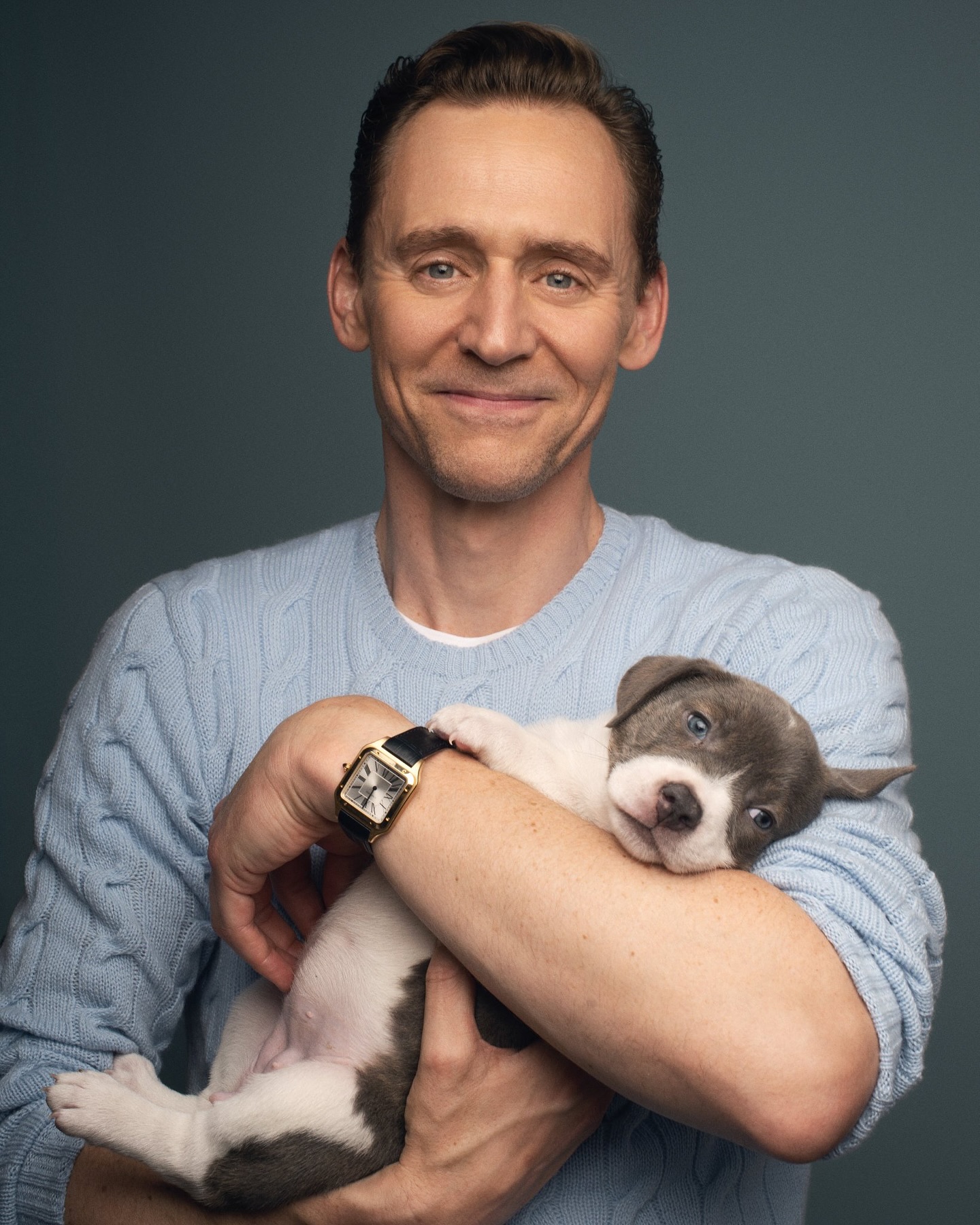 puppies1.jpg