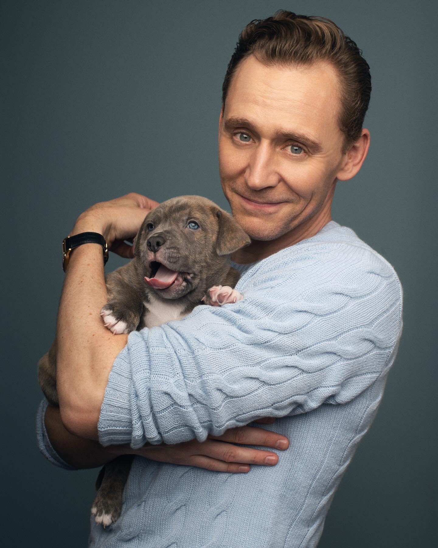 puppies2.jpg