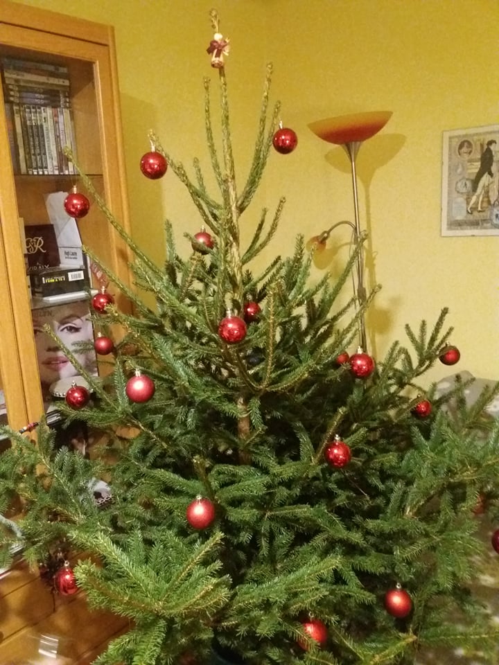 Szépséges, minimalista stílusban díszített karácsonyfám