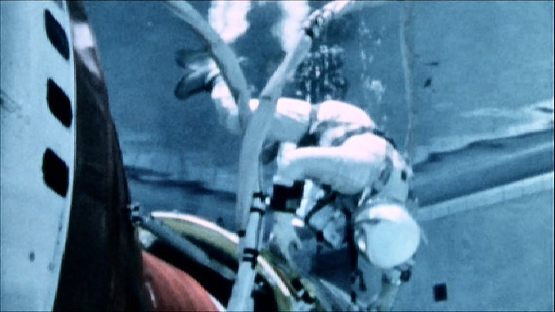 Aldrin_Gemini_XII.jpg