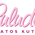 Exkluzív kutyaruha bolt- Király utca