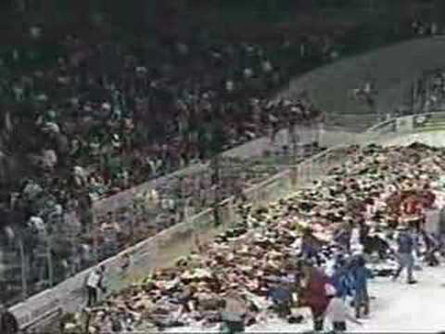 Macikkal a gyermekekért