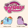 My little pusheen