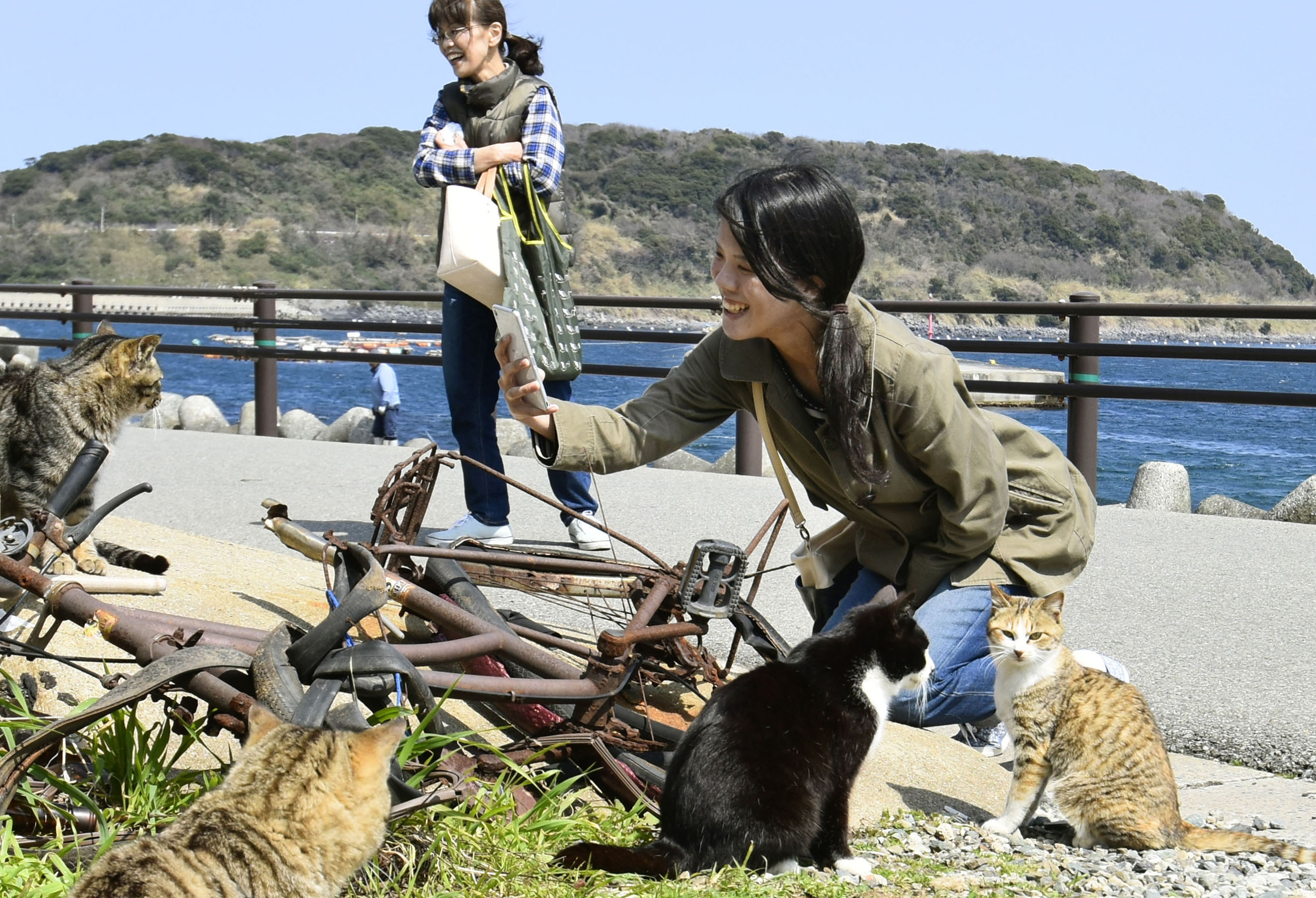 https://www.japantimes.co.jp/news/2016/04/07/national/cat-island-draws-tourists-residents-regret-loss-tranquility/#.WmirE9LiYdU
