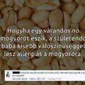 Ilyen alapon a kínaiak nem küszködnek ilyen problémával :D