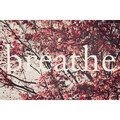 Breathe
