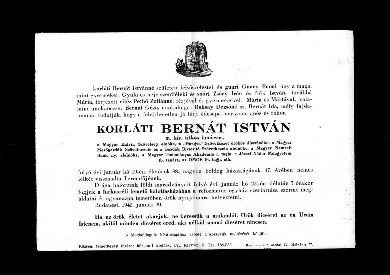 bernat_1.jpg