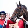 Dettori marad