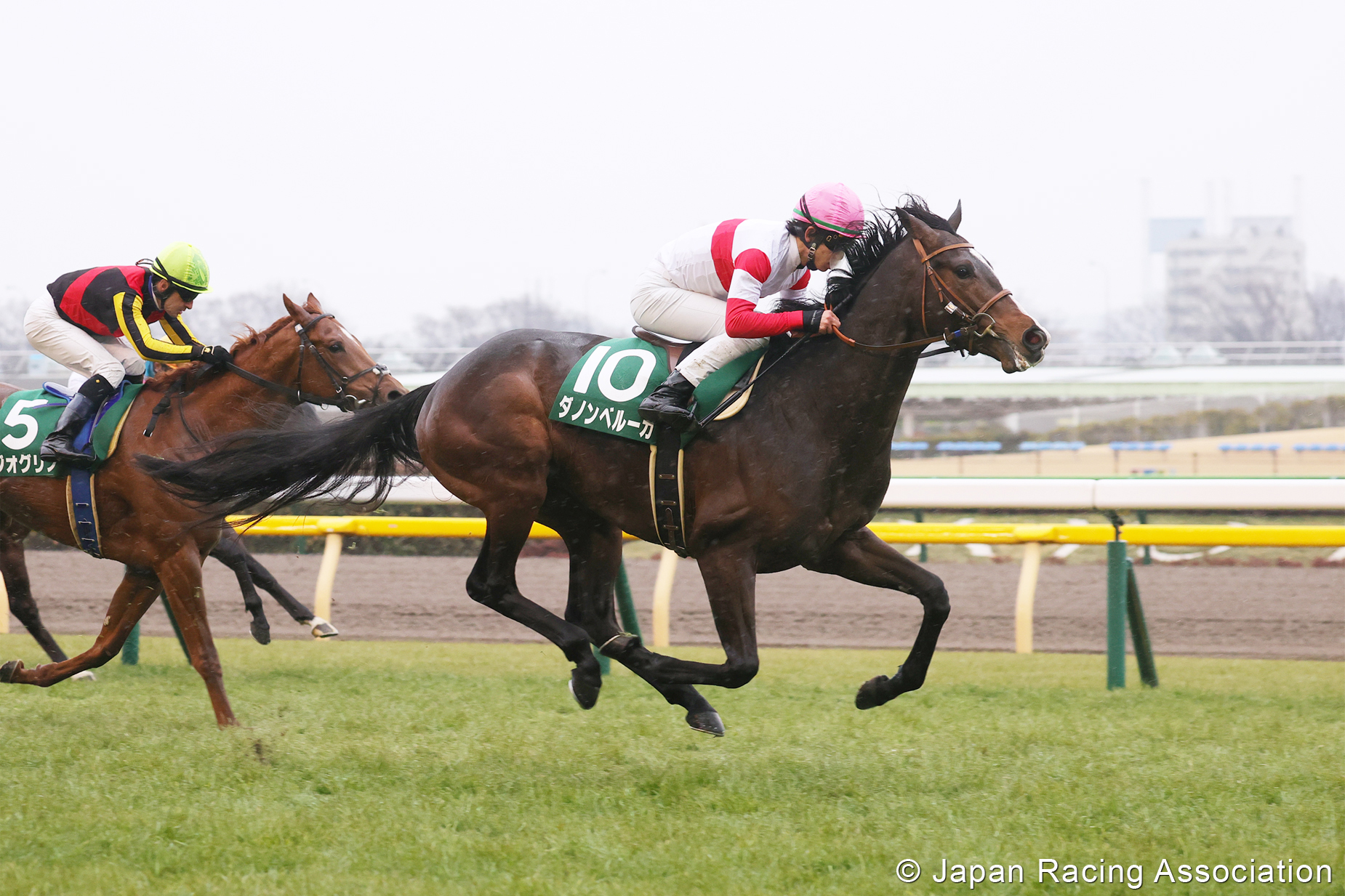 42. Japan Cup