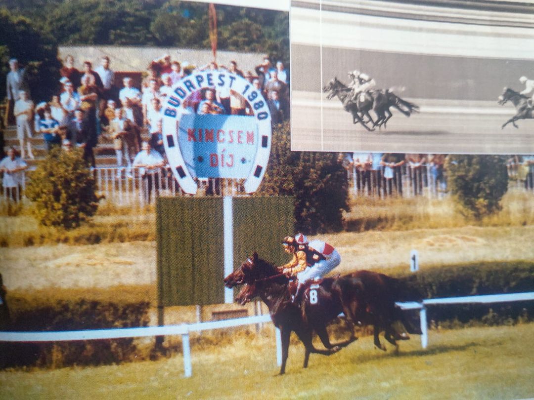 arena_vas_jozsef_kincsem_1980.jpg