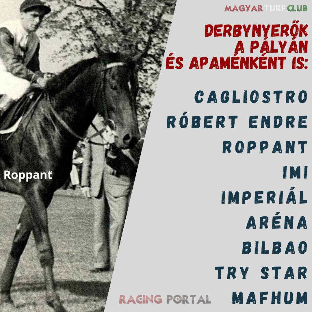 derbynyerok_apamenkent_is.png