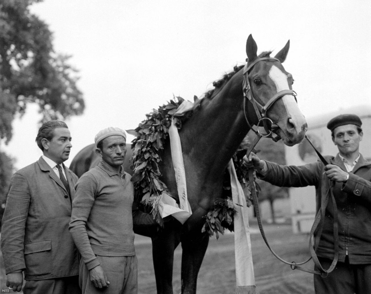 imperial-aut-derby.jpg