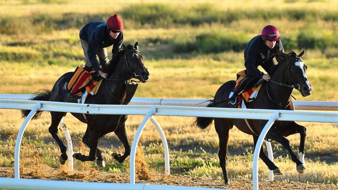 the-cliffsofmoher-and-yucatan-worked-together-at-werribee-1539235816_1352x900.jpg