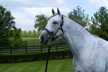 Unbridled’s Song
