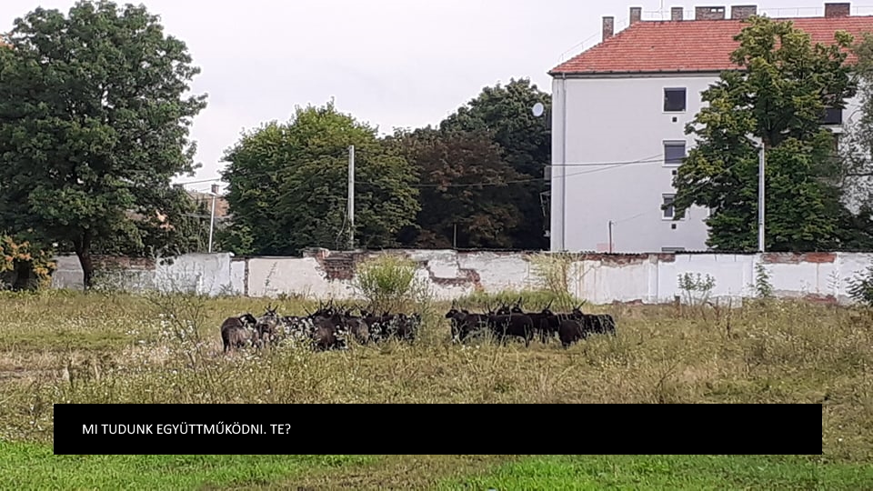 Csendes hétfő déli elmélkedés