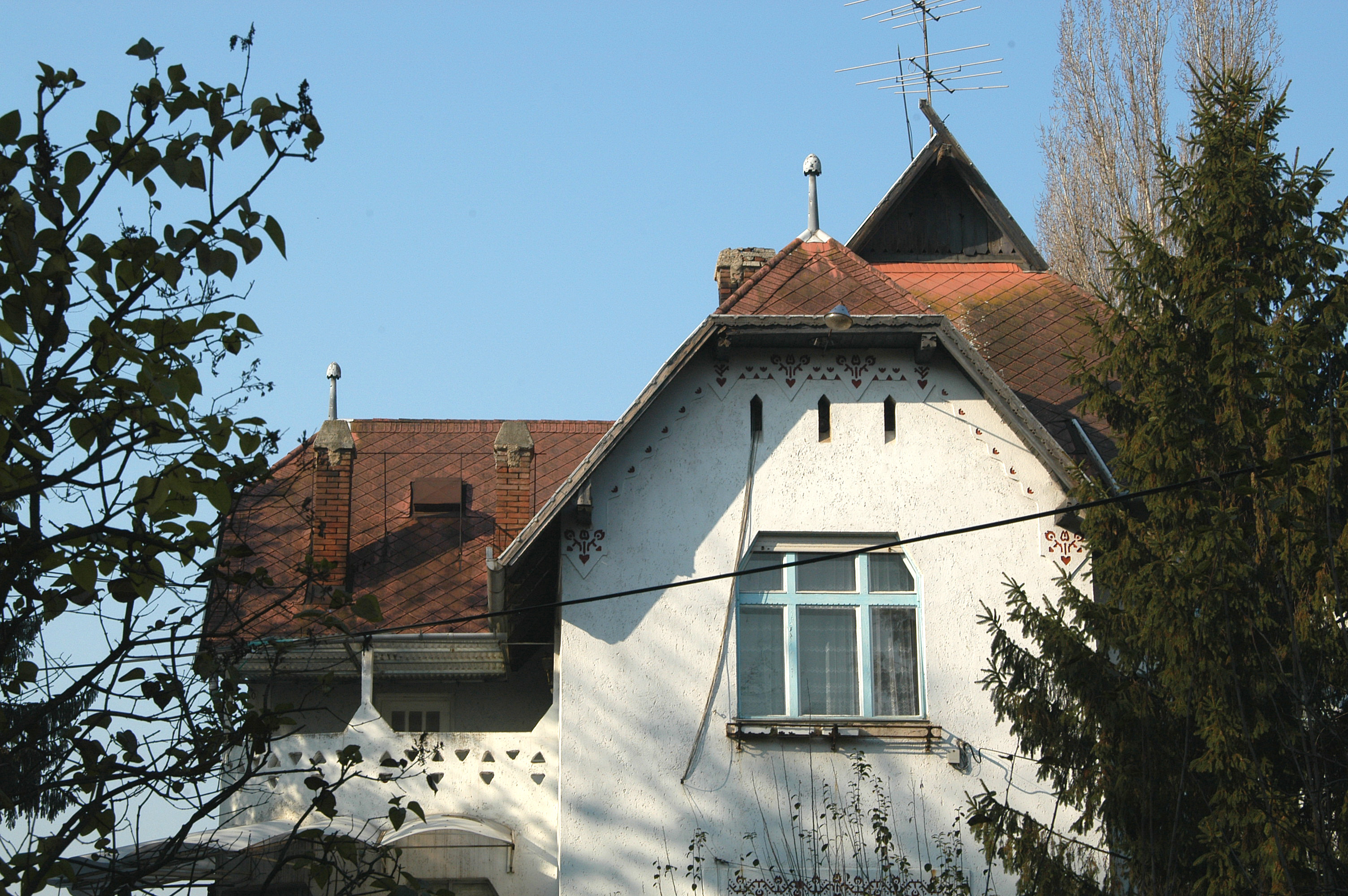 dsc_0008.JPG