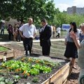 Átadták Budapest első közösségi kertjét