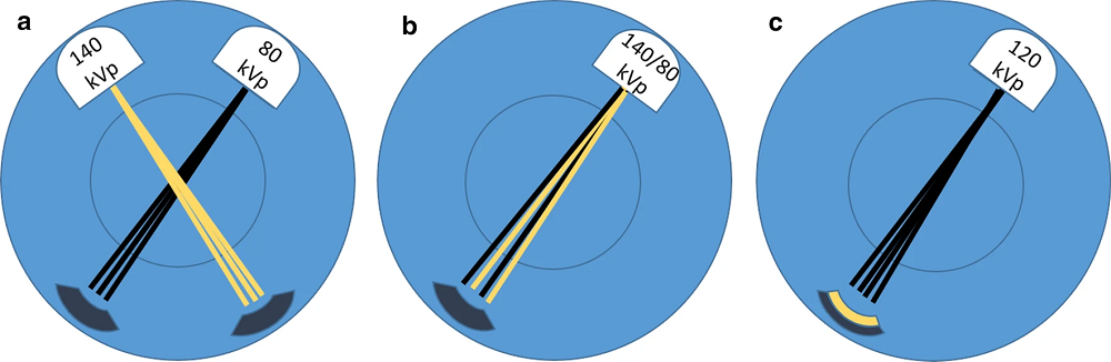 13244_2021_1082_fig1_jpg.png