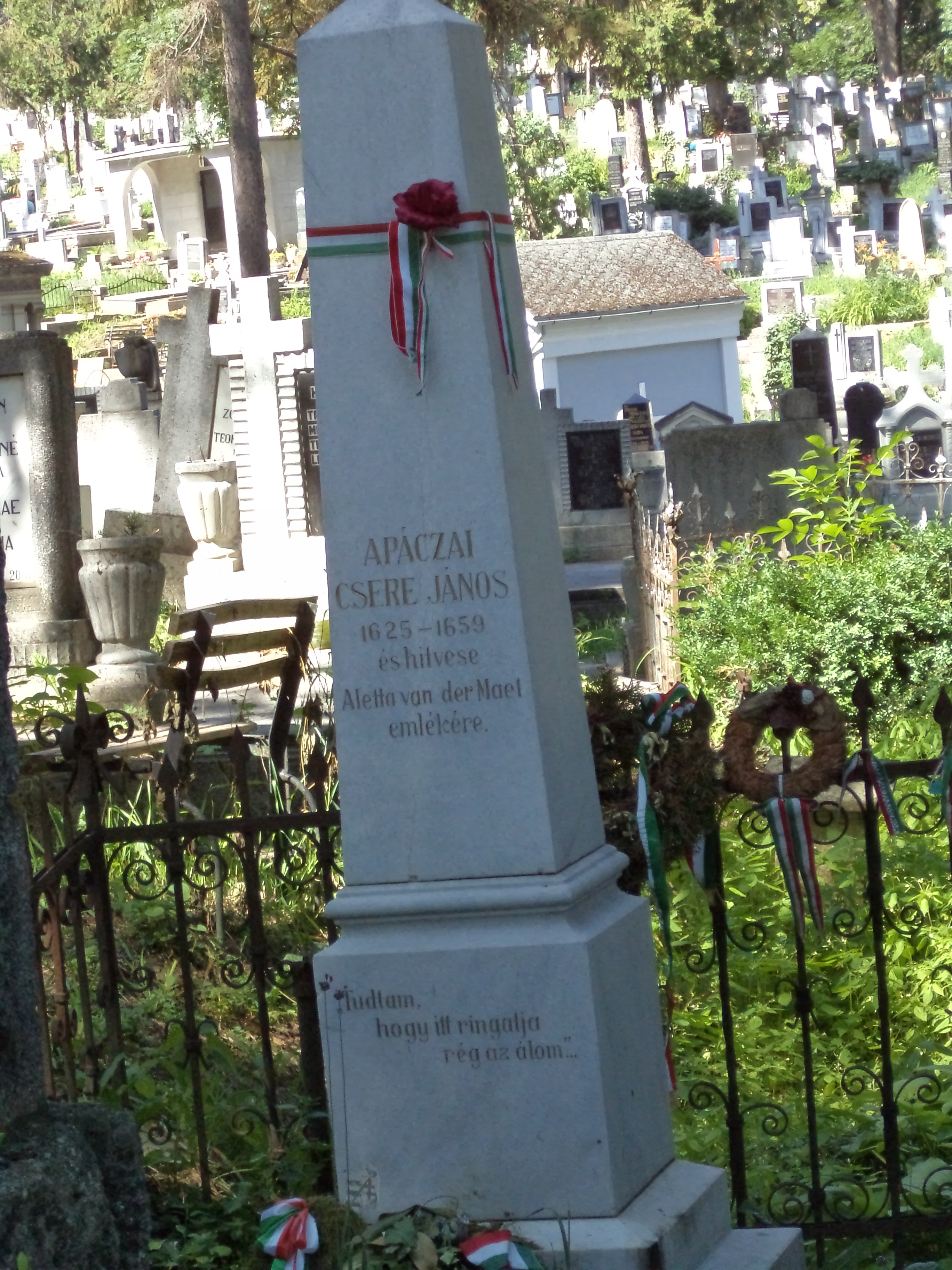 apaczai-csere-janos-es-felesege-sirja-a-hazsongardi-temetoben-a-szerzo-felvetele-2012-juniusabol_10083607.jpg