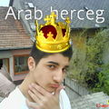 Arab herceg