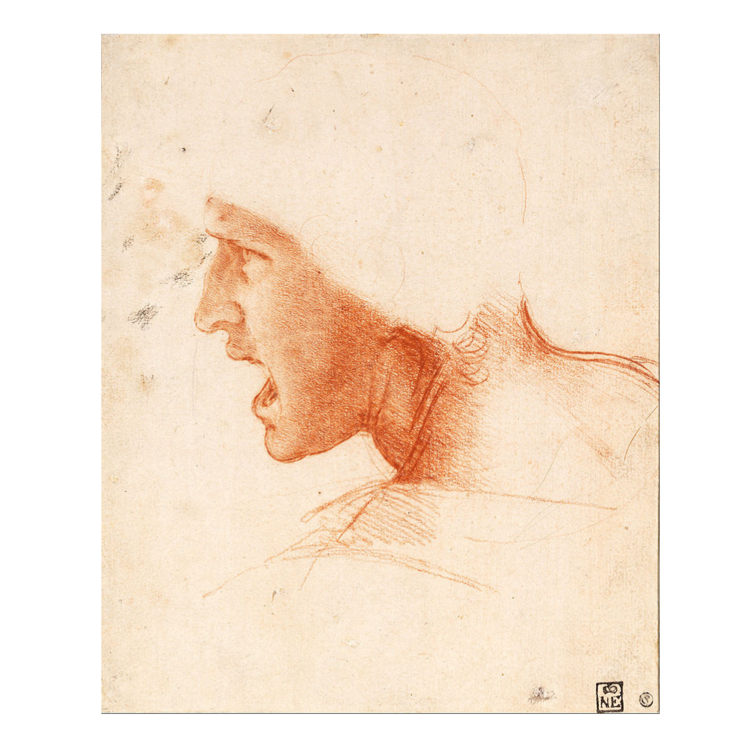 Leonardo: Anghiari csata