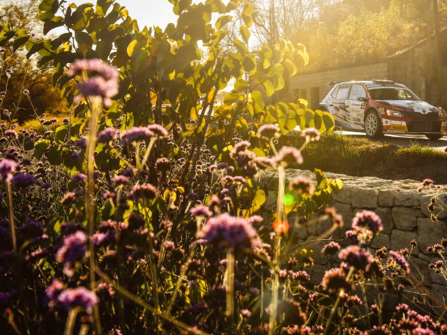 Környezettudatosságra törekszik a Rally Hungary