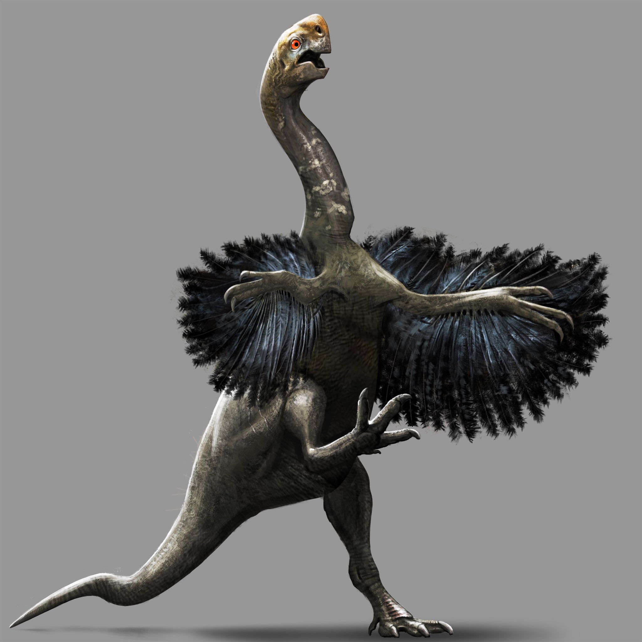 gigantoraptor_1.jpg