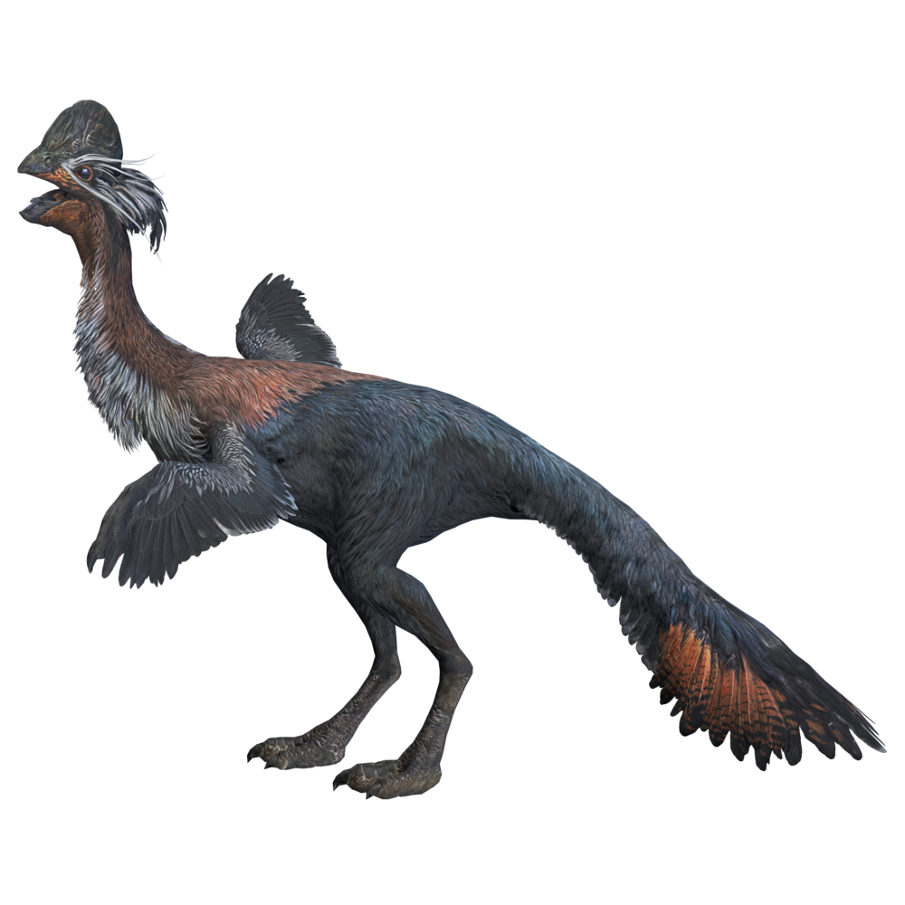 rinchenia_mongoliensis.png