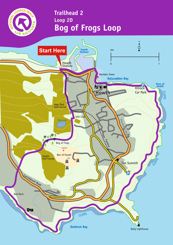 bog_of_frogs_loop-howth-fit_jpg.jpg