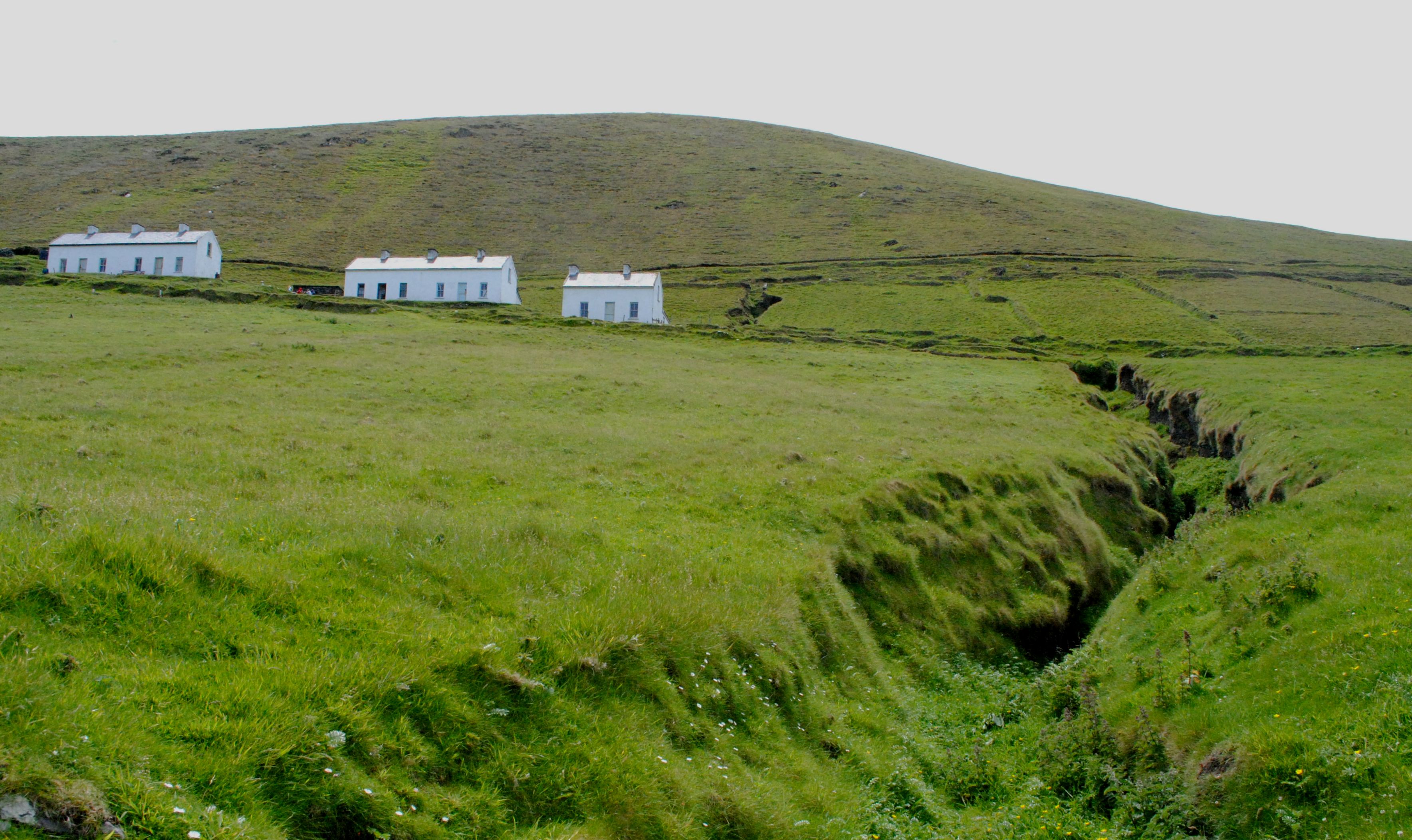 dingle019.jpg