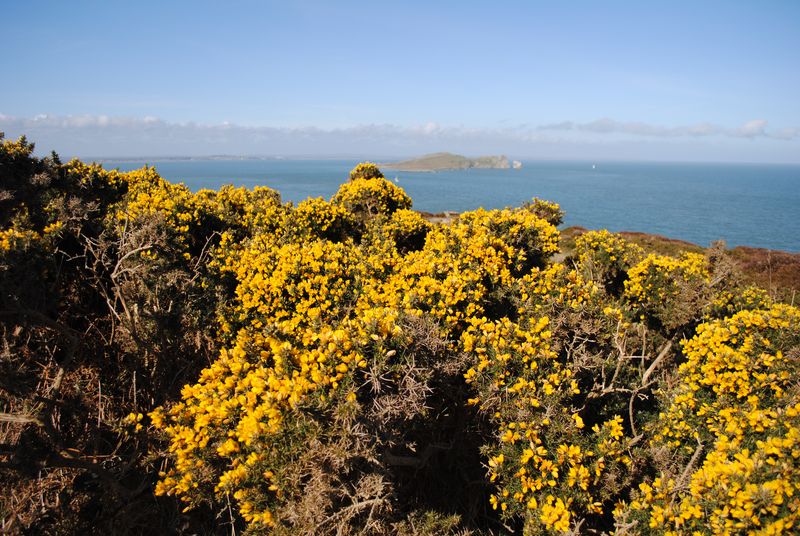 howth019.jpg