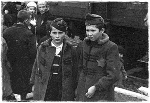 zsidó gyerekek Birkenauban.jpg