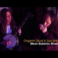 Boll Weevil Folk Blues Gang: Mean Bubonic Blues