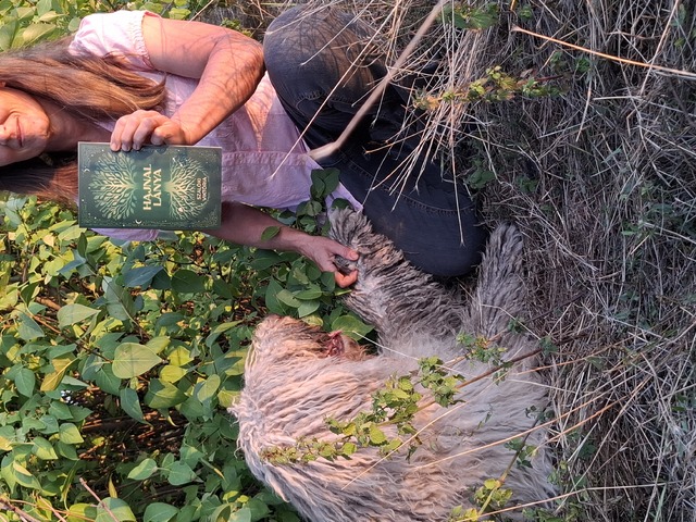 Interjú Szalóki Viktóriával