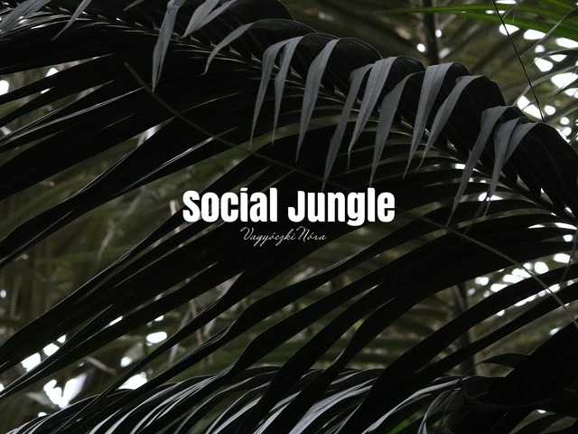 A marketinges is ember-Social Jungle