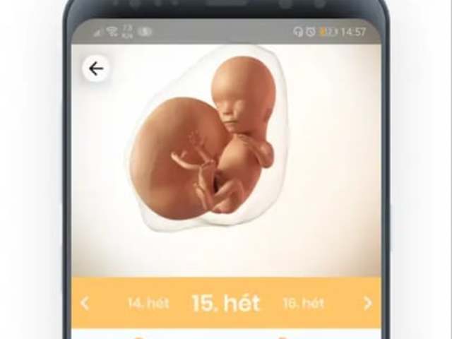 Tarolt a PregHello, a magyar kismamáknak készült app