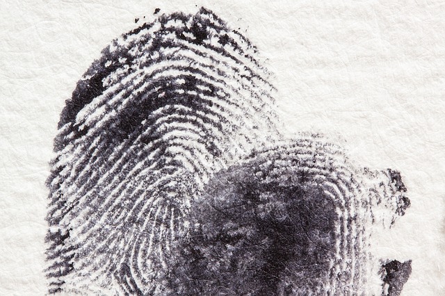 fingerprint-255904_640.jpg