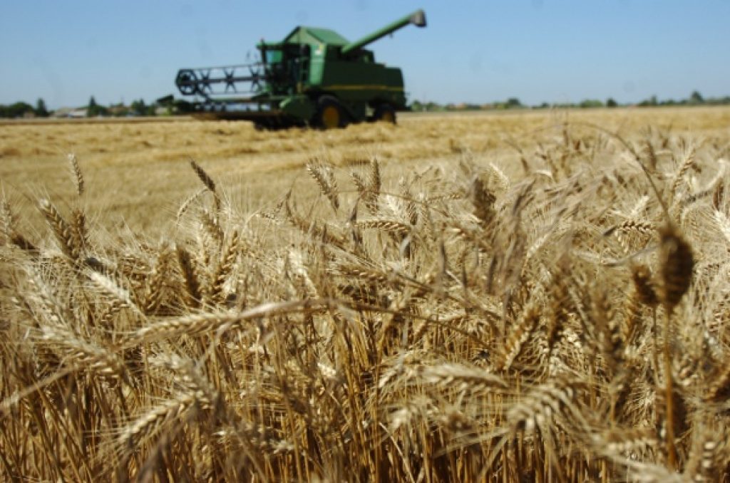 A mezőgazdasági szektor állapota Magyarországon