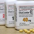 A gyógyszer, amely kirobbantotta az amerikai opioid járványt