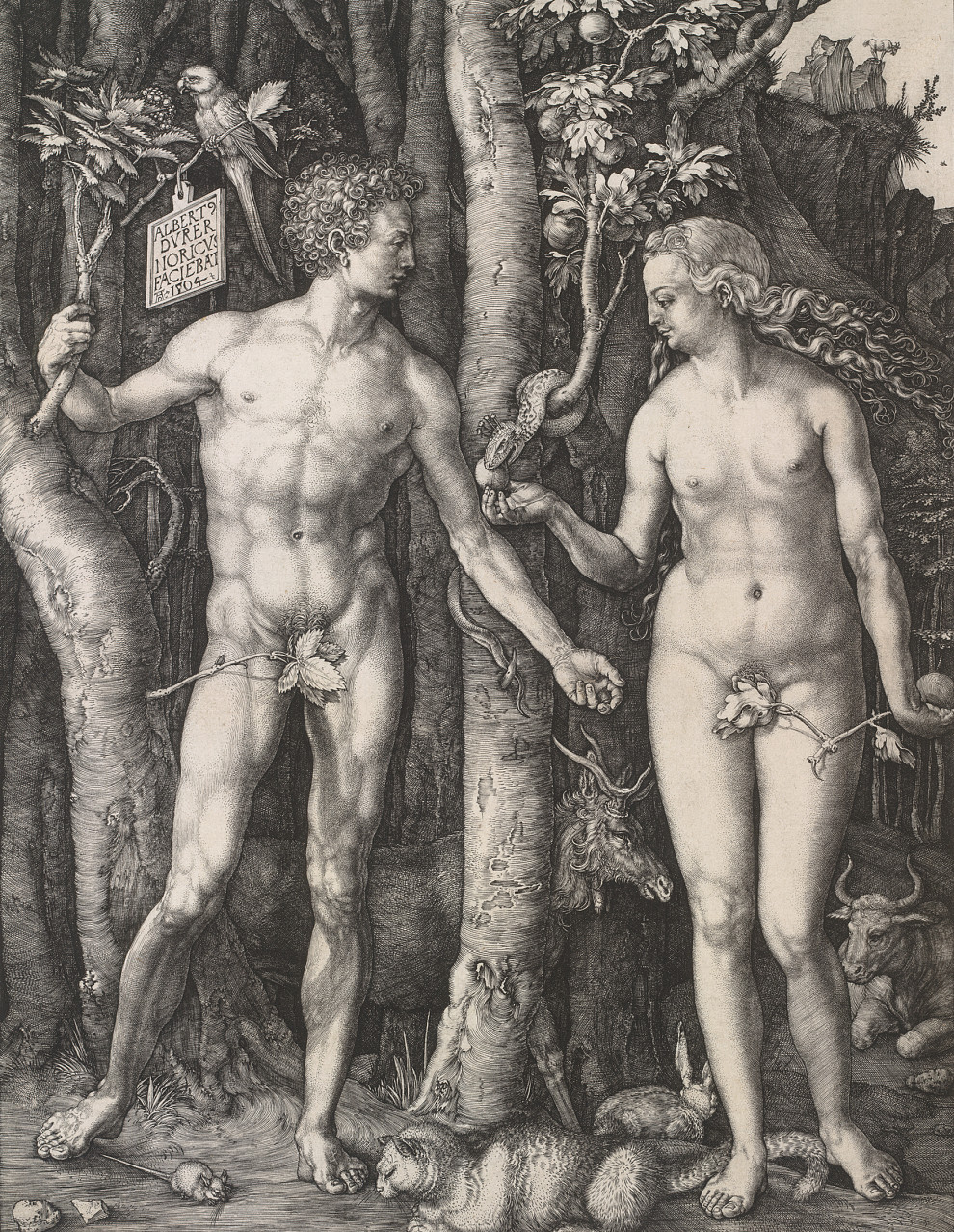 albrecht_duerer_adam_und_eva_1504_albertina-_wien-1_990x0.jpg