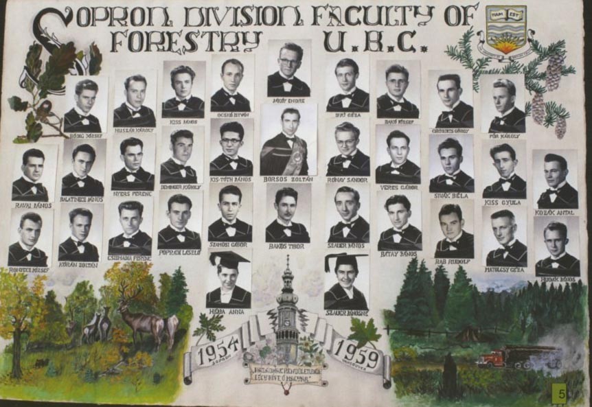 1956 elfeledett története és aktualitása