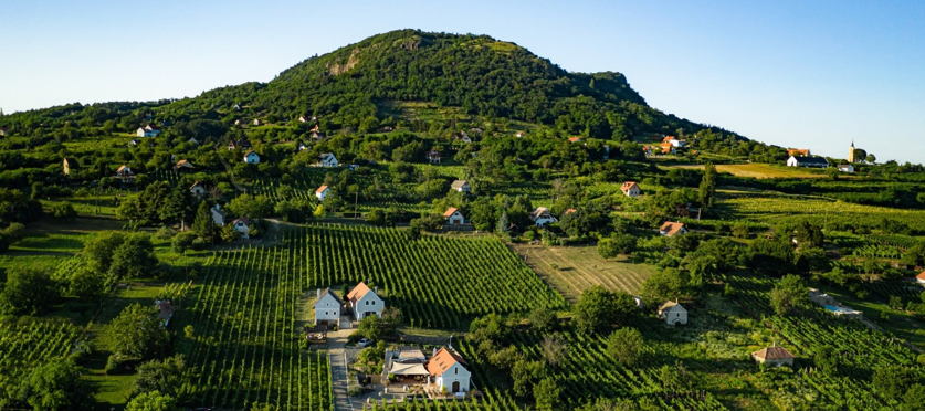 kepernyokep_2025-06-22_004035.png
