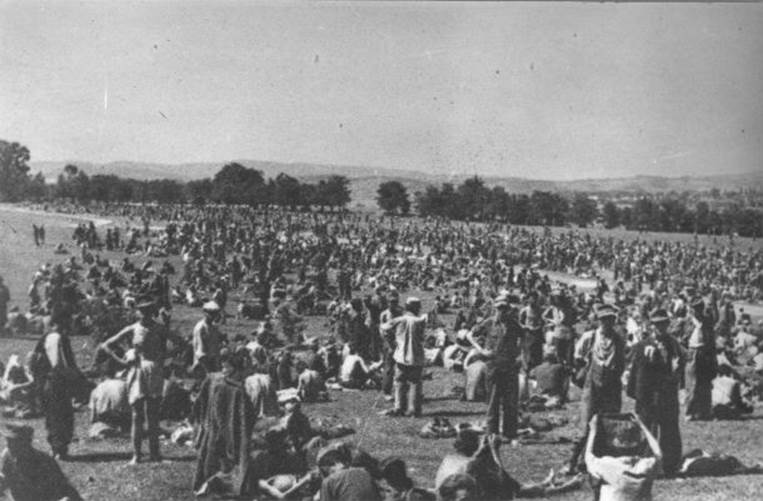 bleiburg-massacres-1945.jpg