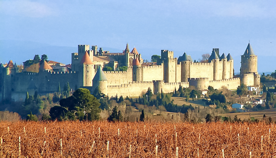 carcassonne-vignes.jpg