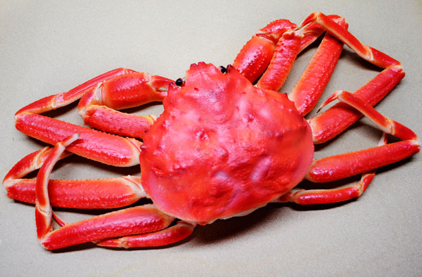 queen-crab-snow-crab.jpg