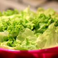 Amit tudni akarsz a salátáról