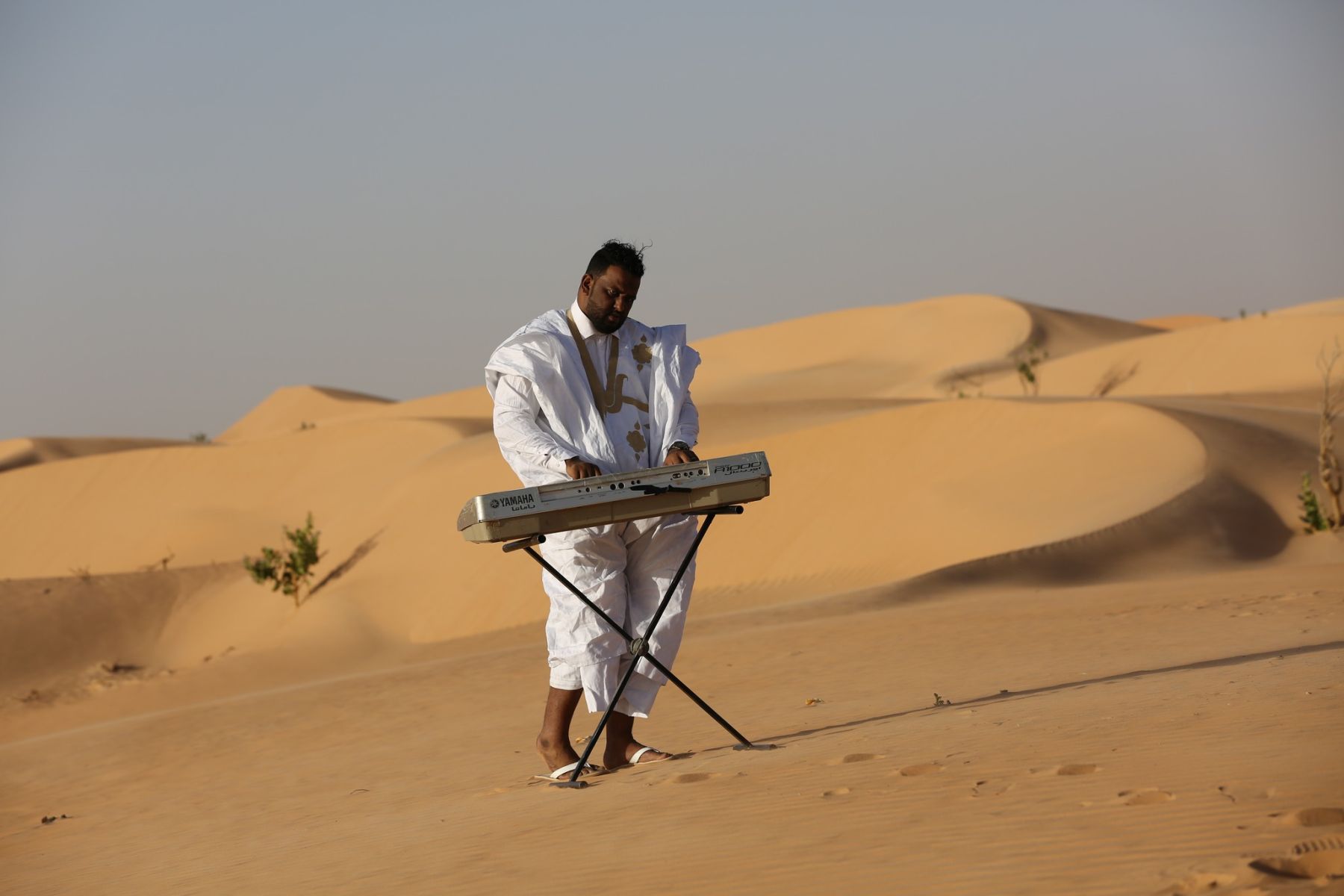 ahmedou-lowla.jpg