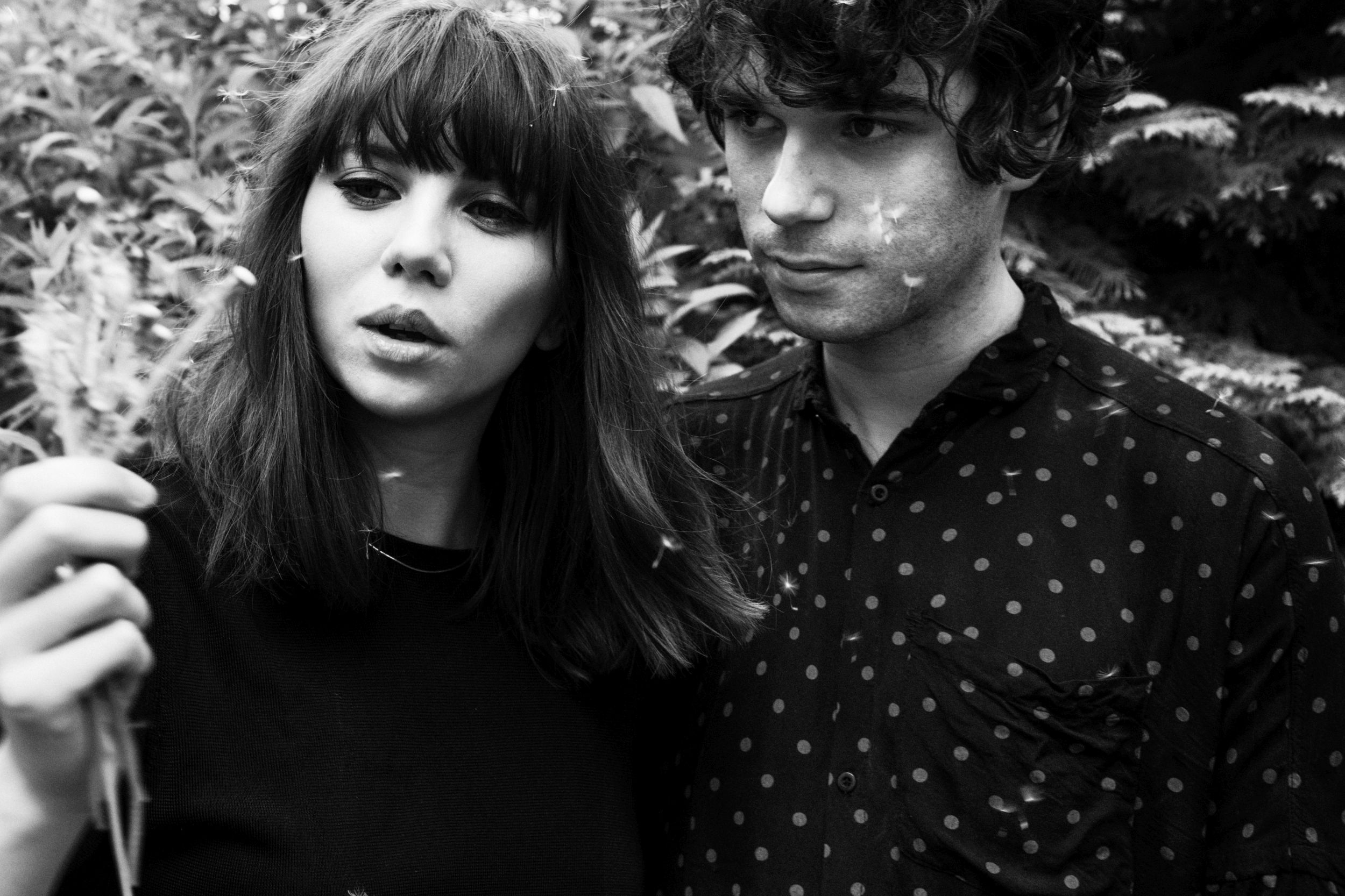 the_kvb.jpg